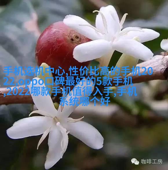 花瓶盆栽架